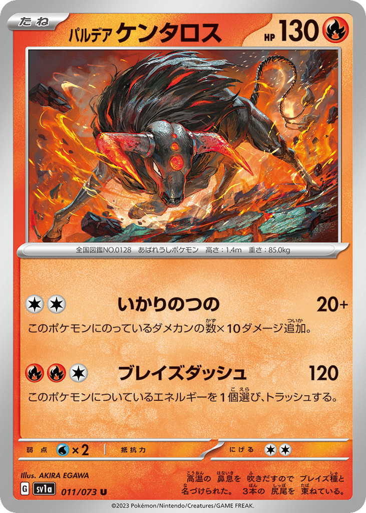パルデア ケンタロス card front