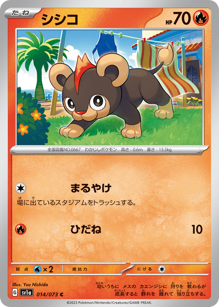 シシコ card front