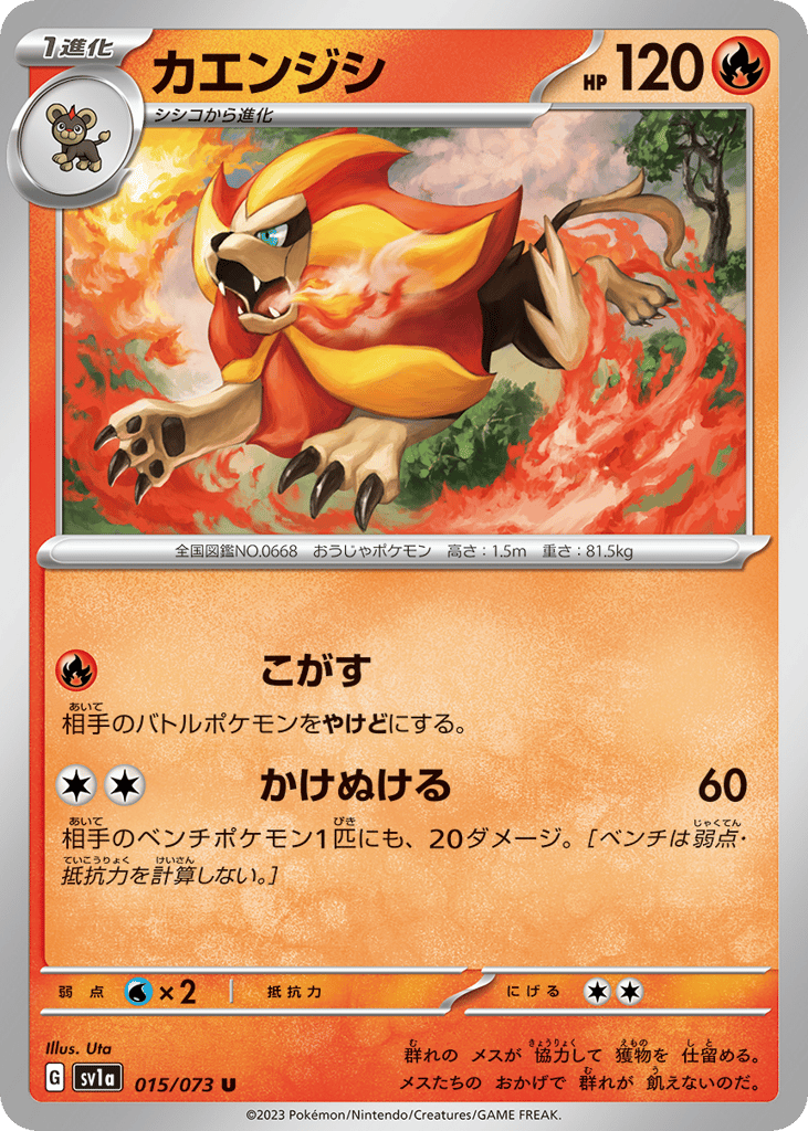カエンジシ card front