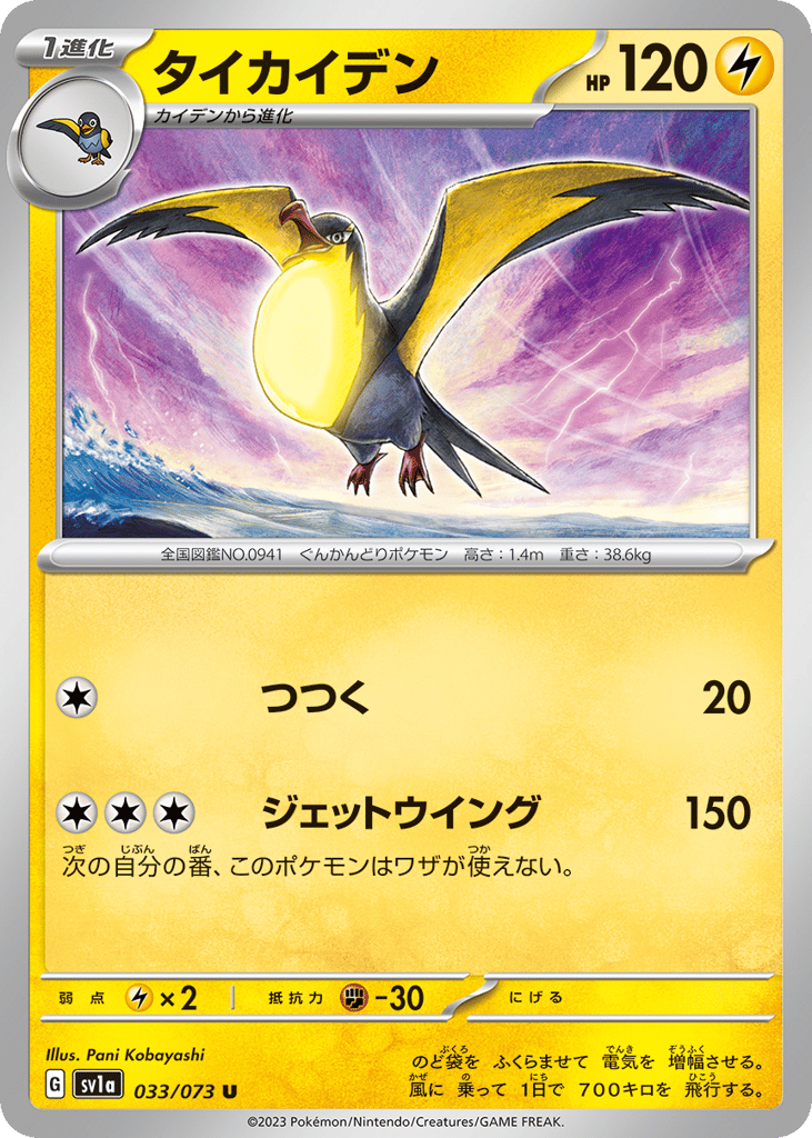 タイカイデン card front