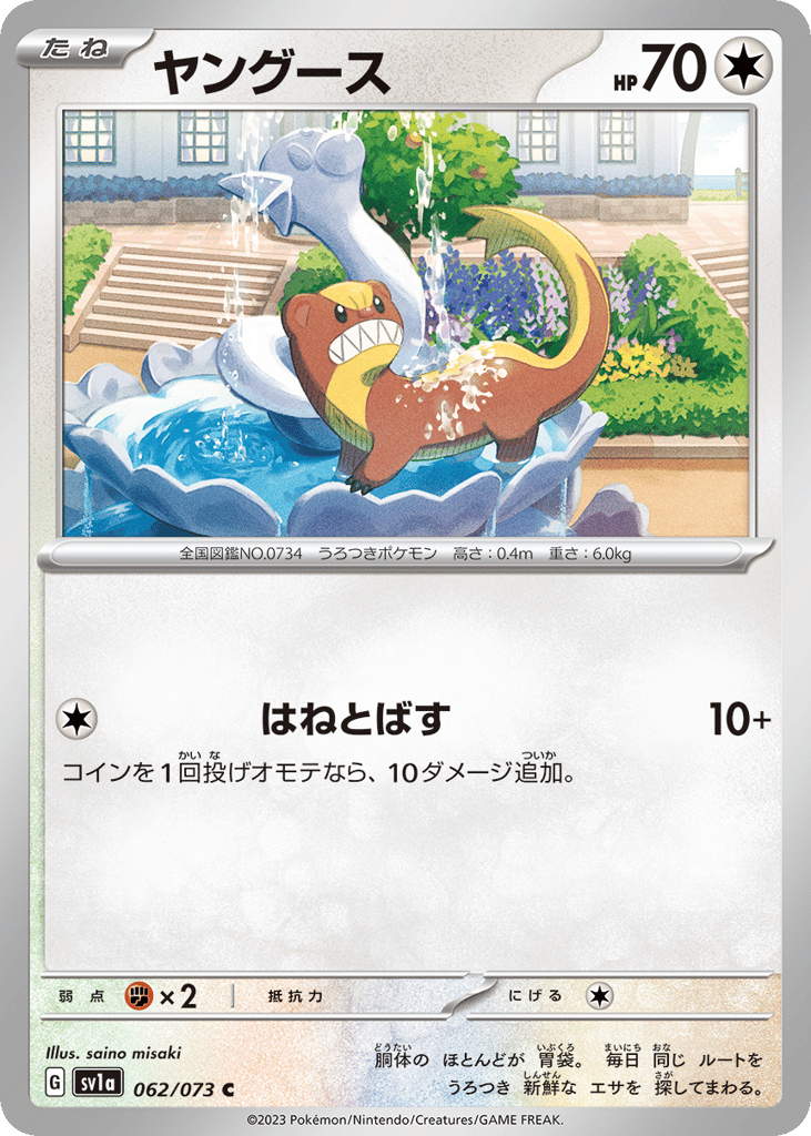 ヤングース card front