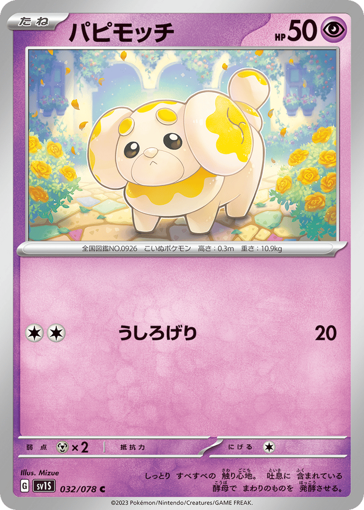 パピモッチ card front