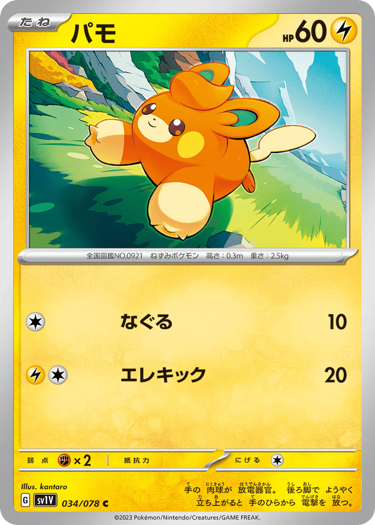 パモ card front