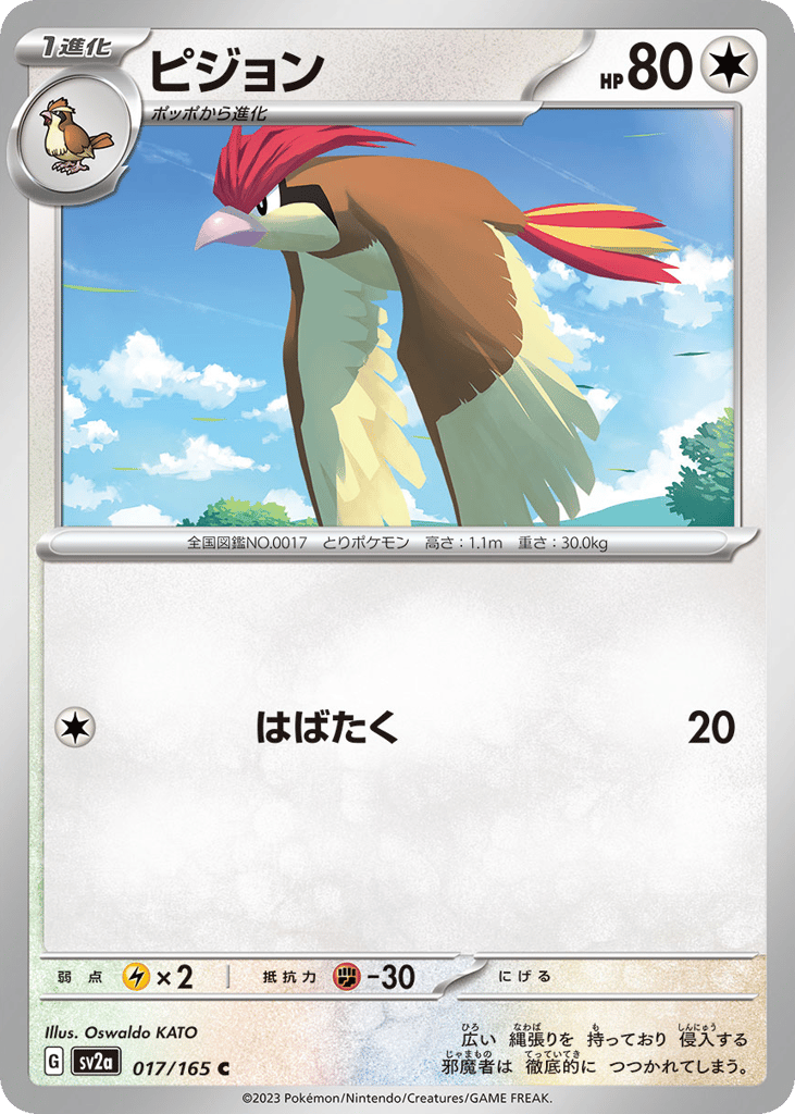 ピジョン card front