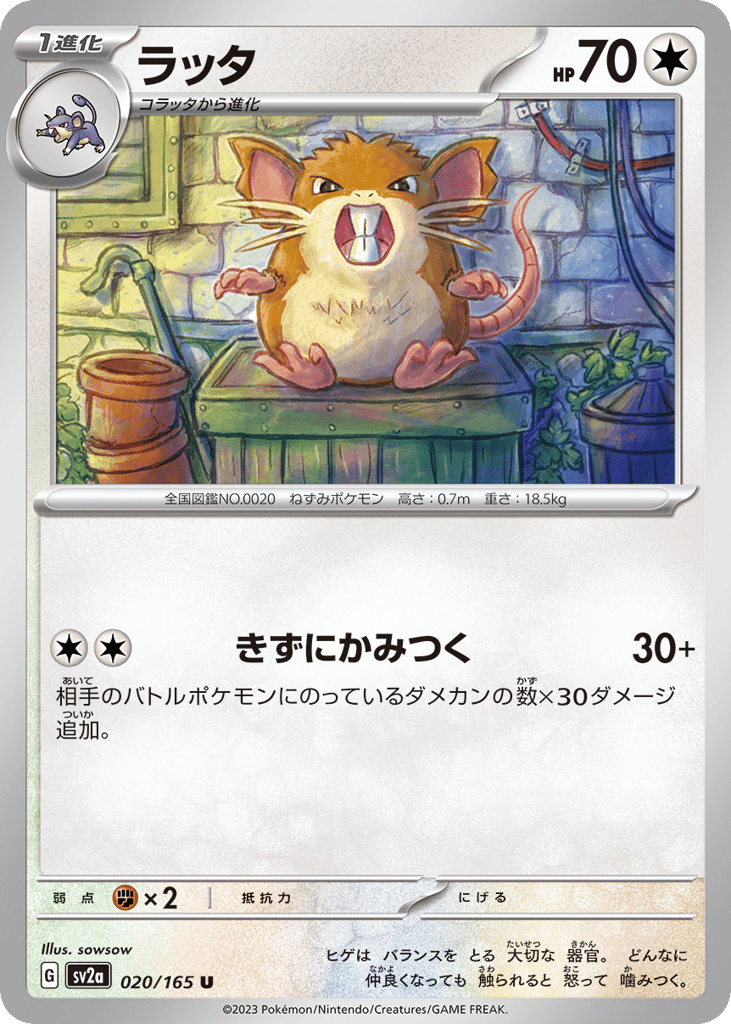 ラッタ card front