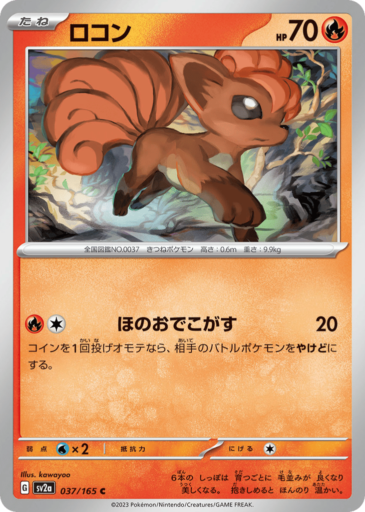 ロコン card front