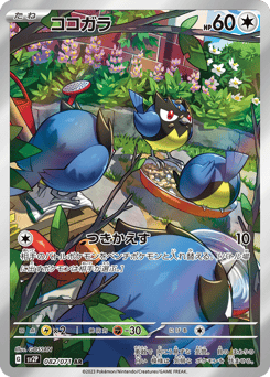 ココガラ