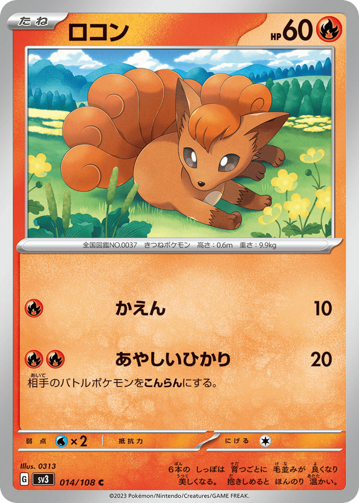 ロコン card front