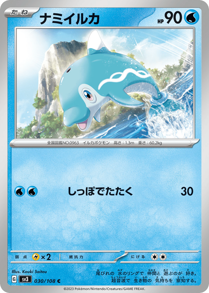 ナミイルカ card front
