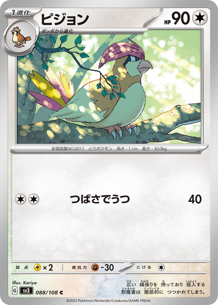 ピジョン card front