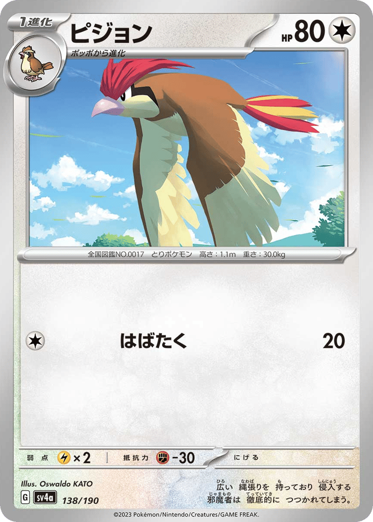 ピジョン card front
