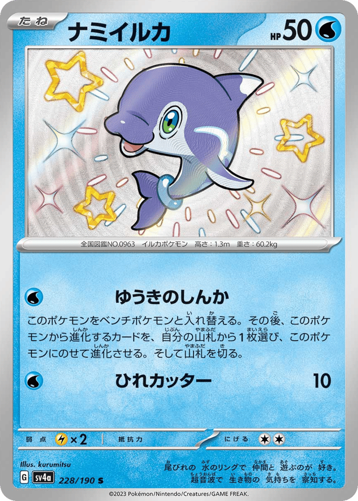 ナミイルカ card front