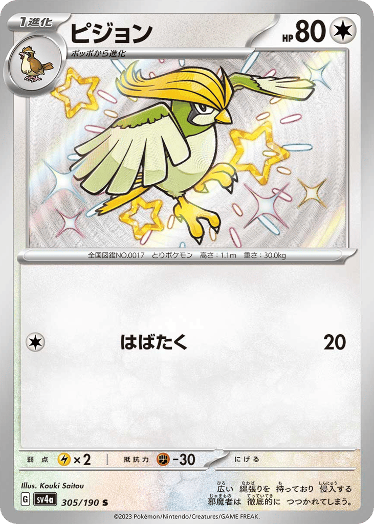 ピジョン card front