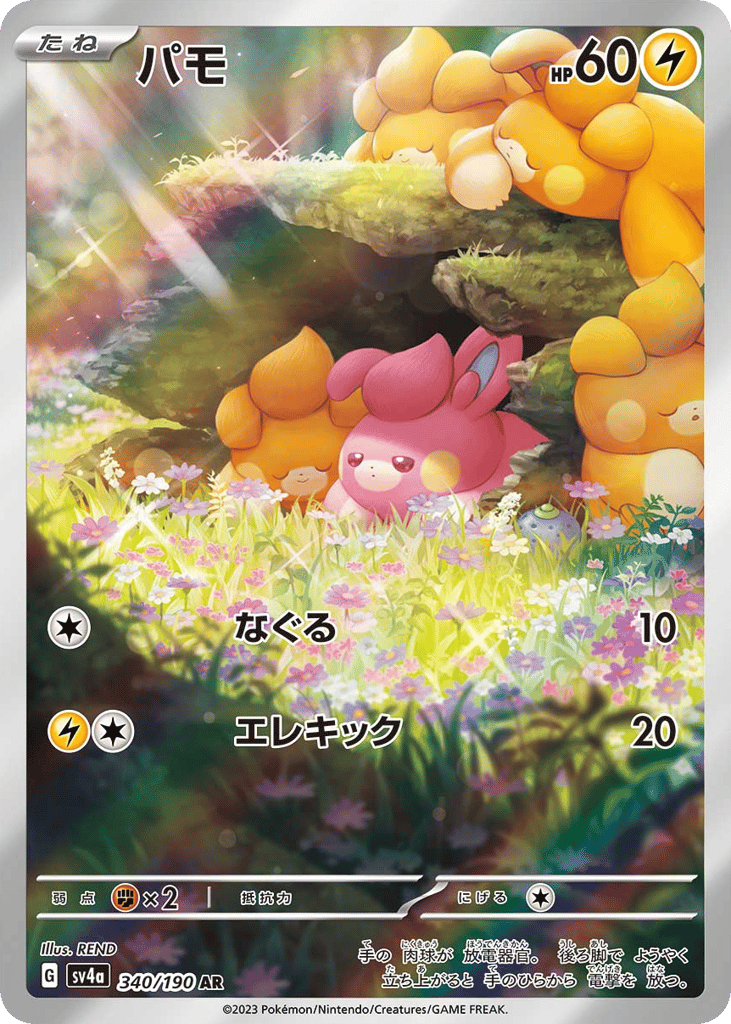 パモ card front