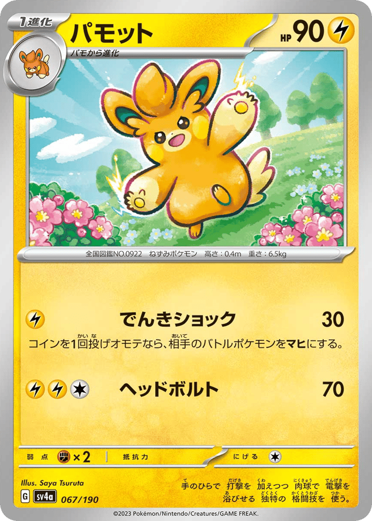パモット card front