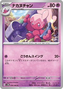 ナカヌチャン