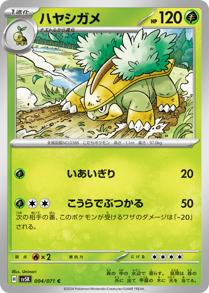 ハヤシガメ card front