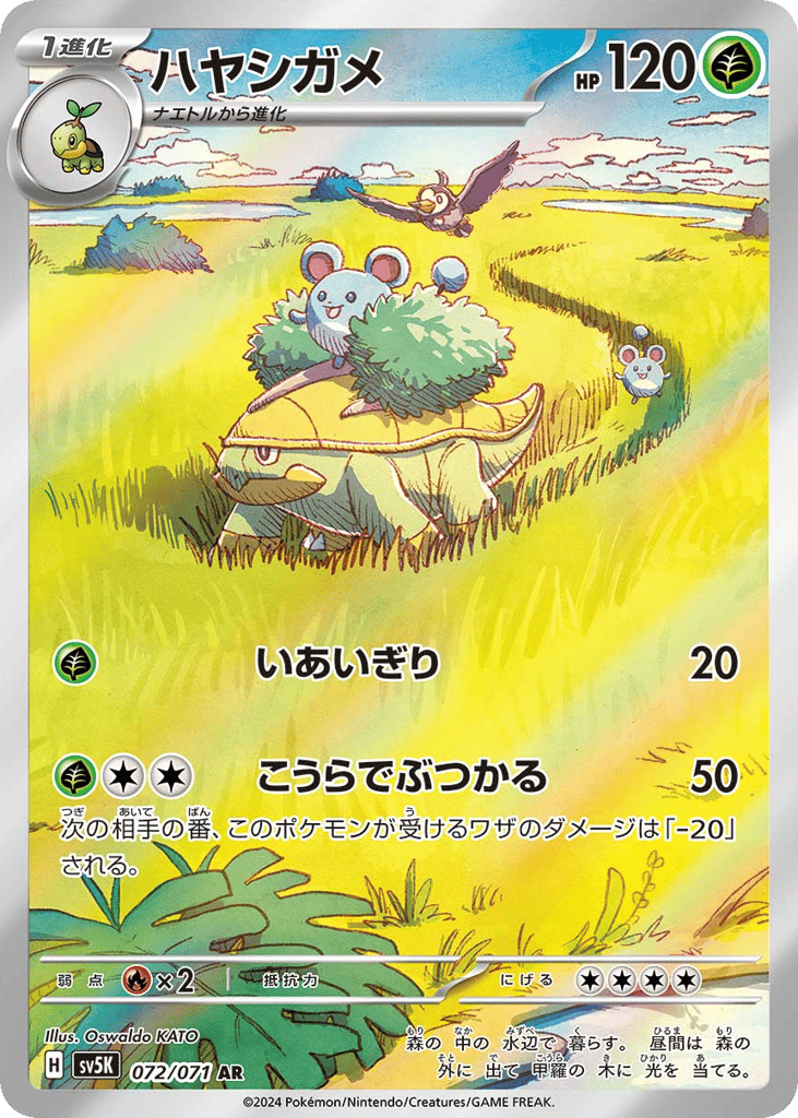 ハヤシガメ card front