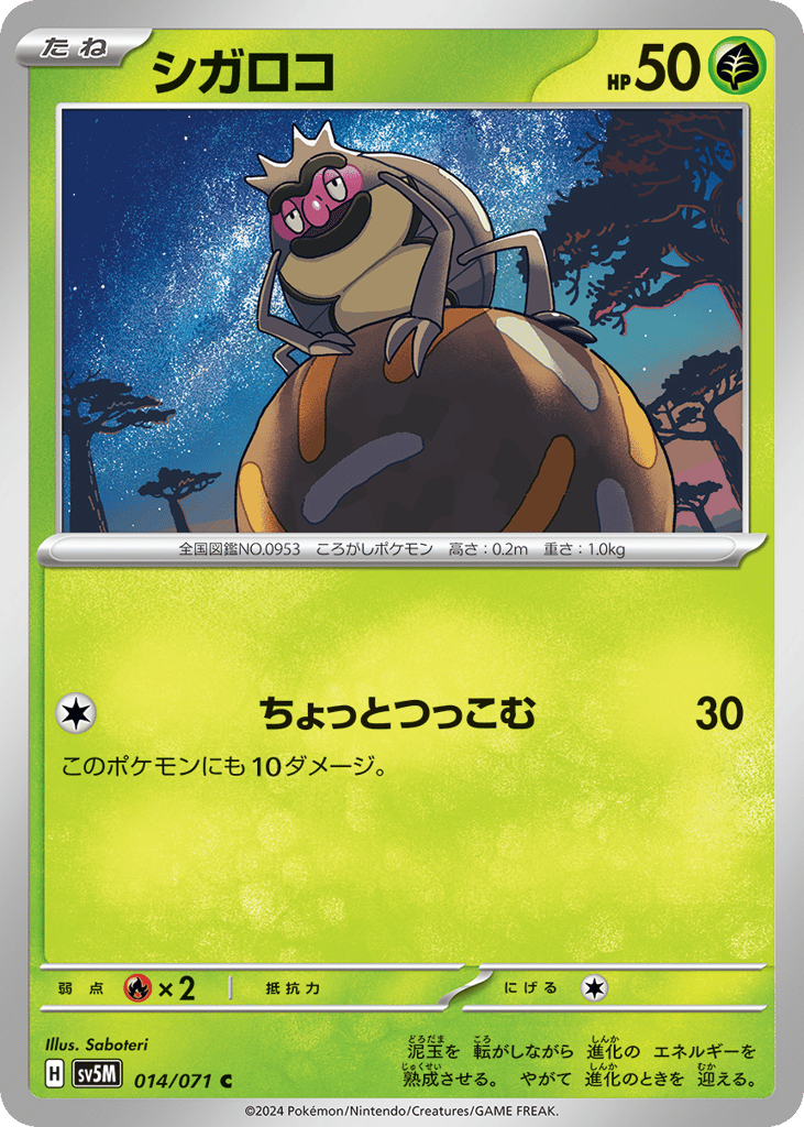 シガロコ card front