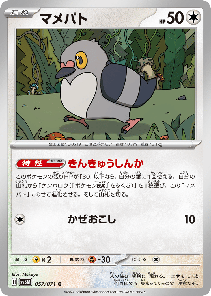 マメパト card front