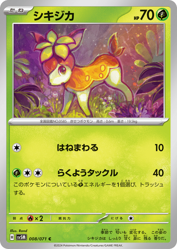 シキジカ card front