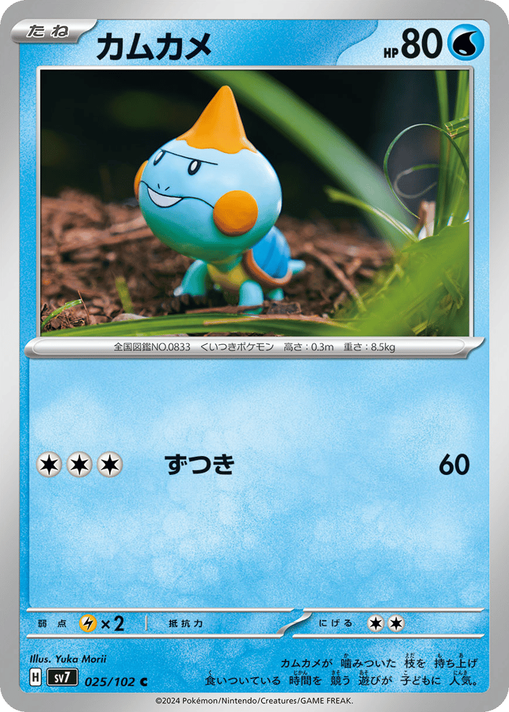 カムカメ card front