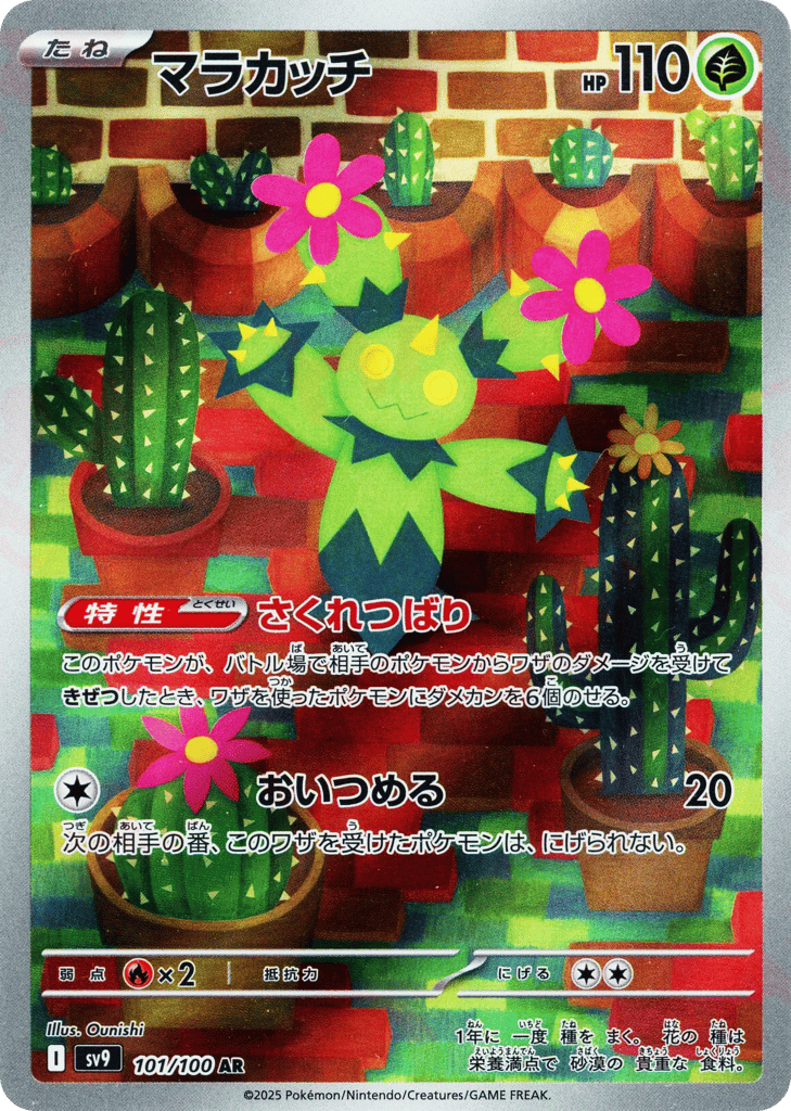 マラカッチ card front