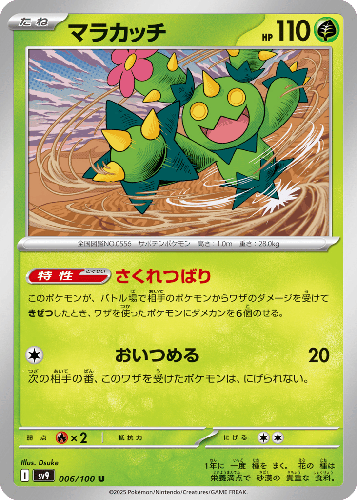 マラカッチ card front