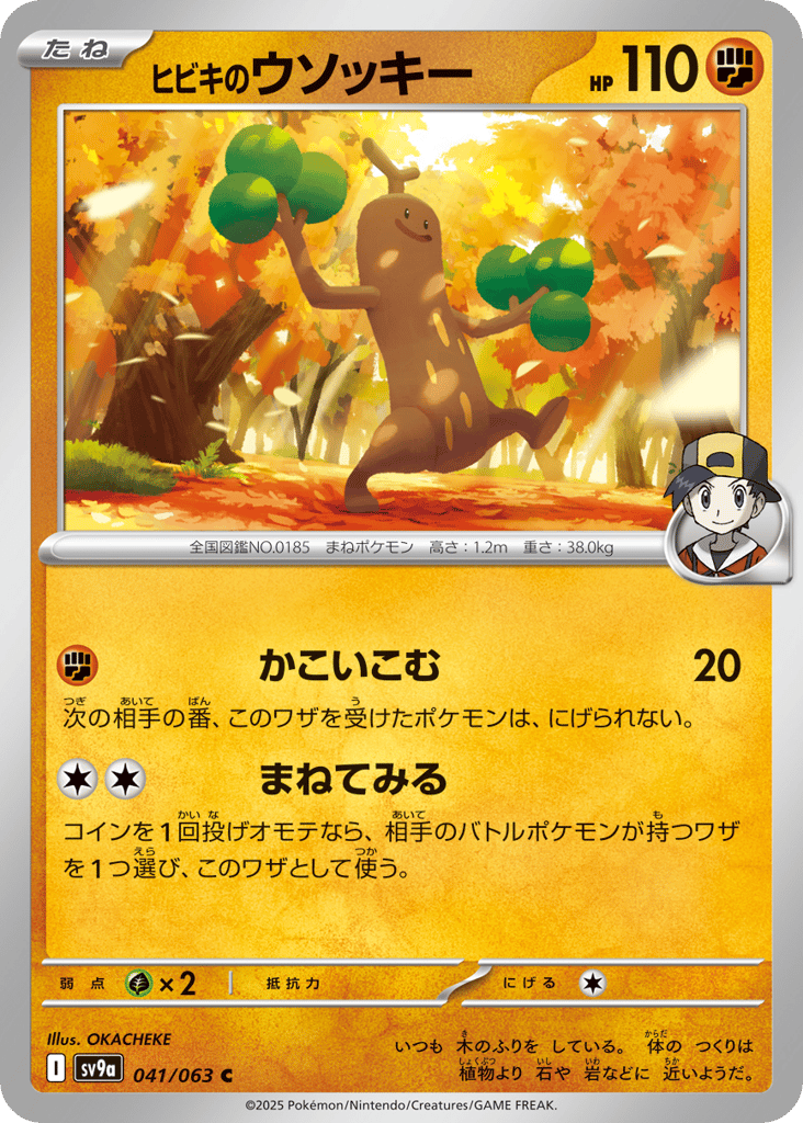 ヒビキのウソッキー card front