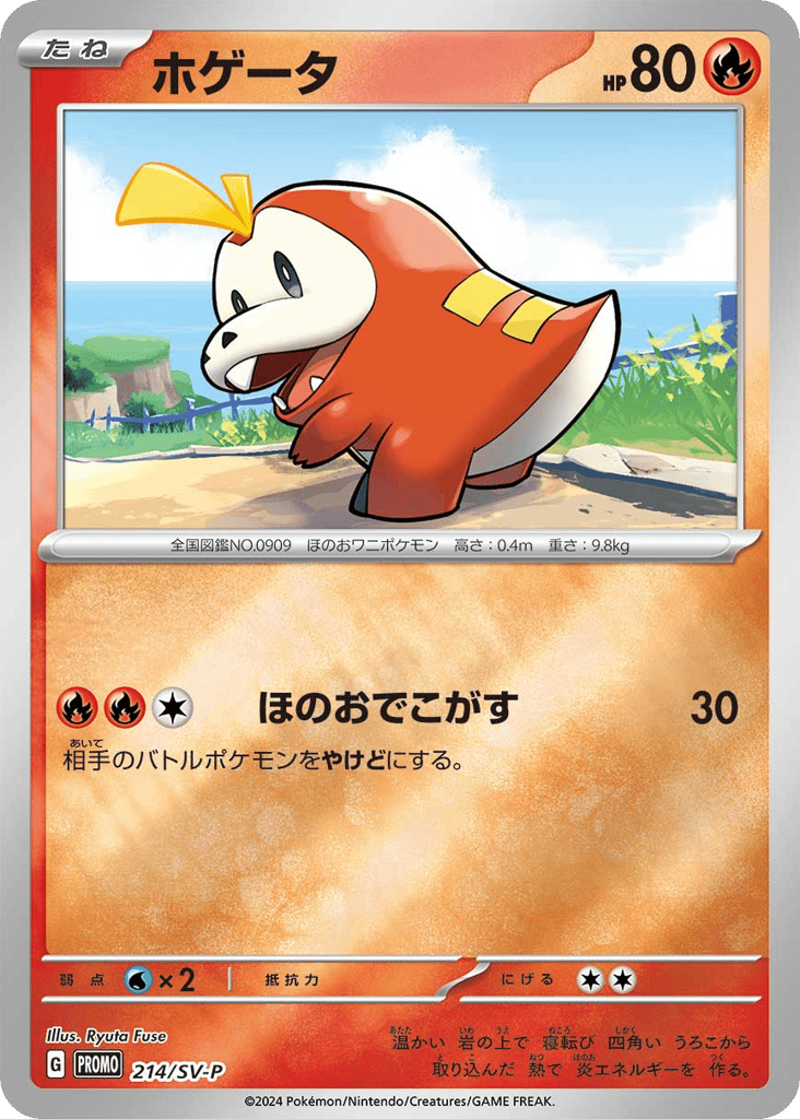 ホゲータ card front