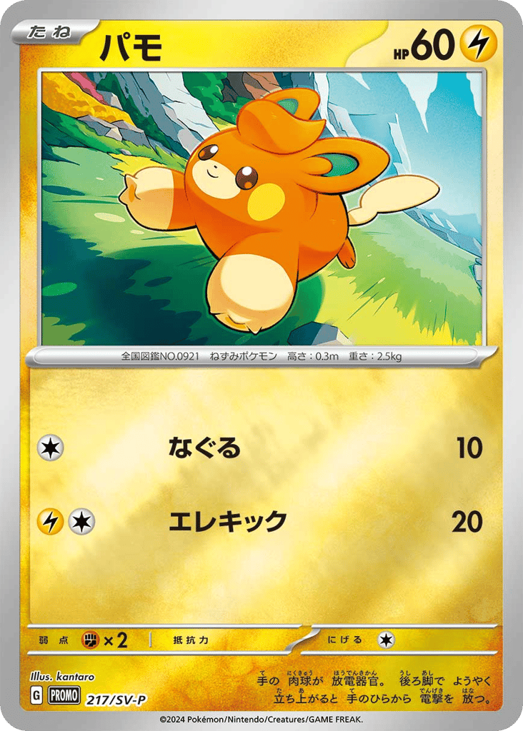 パモ card front