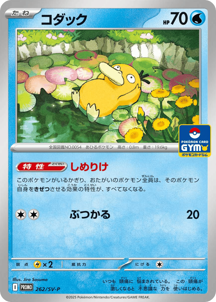 コダック card front