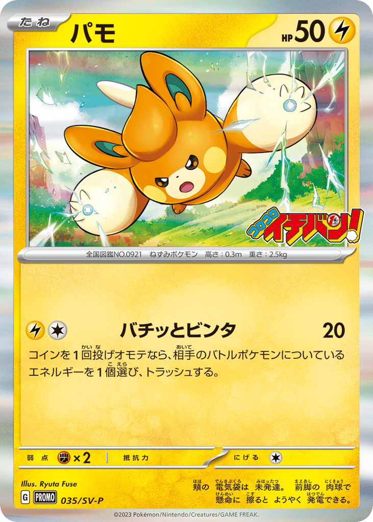 パモ card front