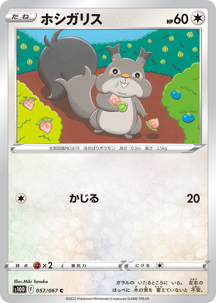 ホシガリス card front