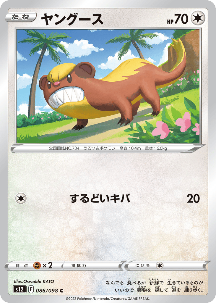 ヤングース card front