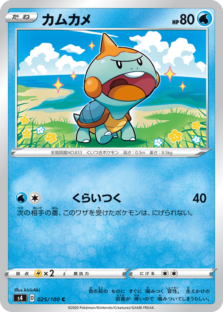 カムカメ card front