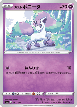 ガラル ポニータ