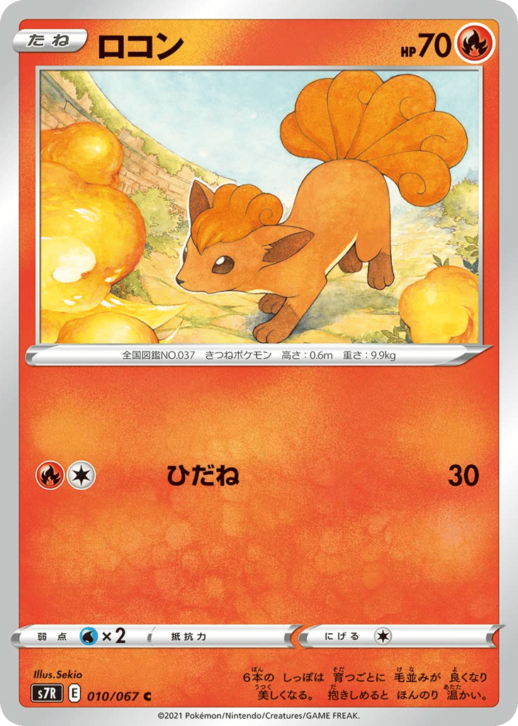 ロコン card front