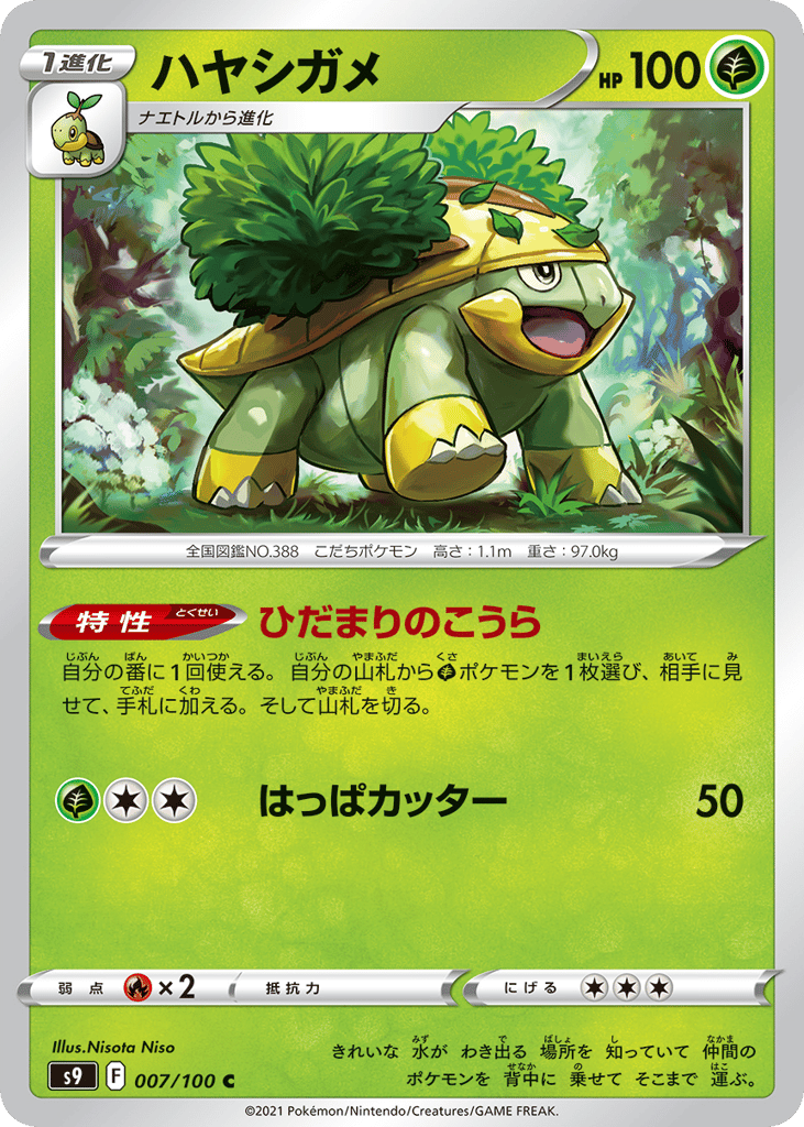 ハヤシガメ card front