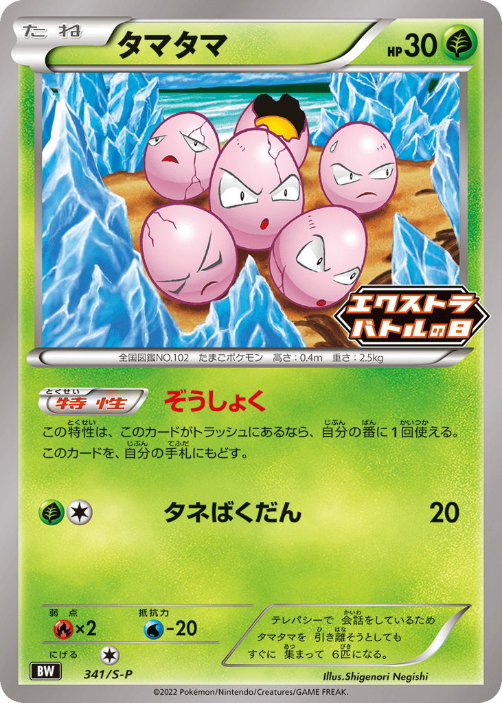 タマタマ card front