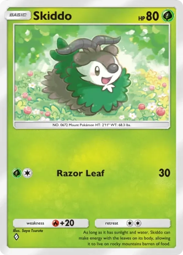 Skiddo card front