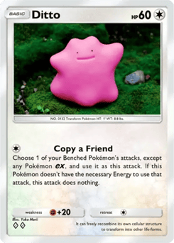 Ditto