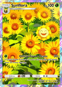 Sunflora