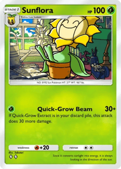 Sunflora
