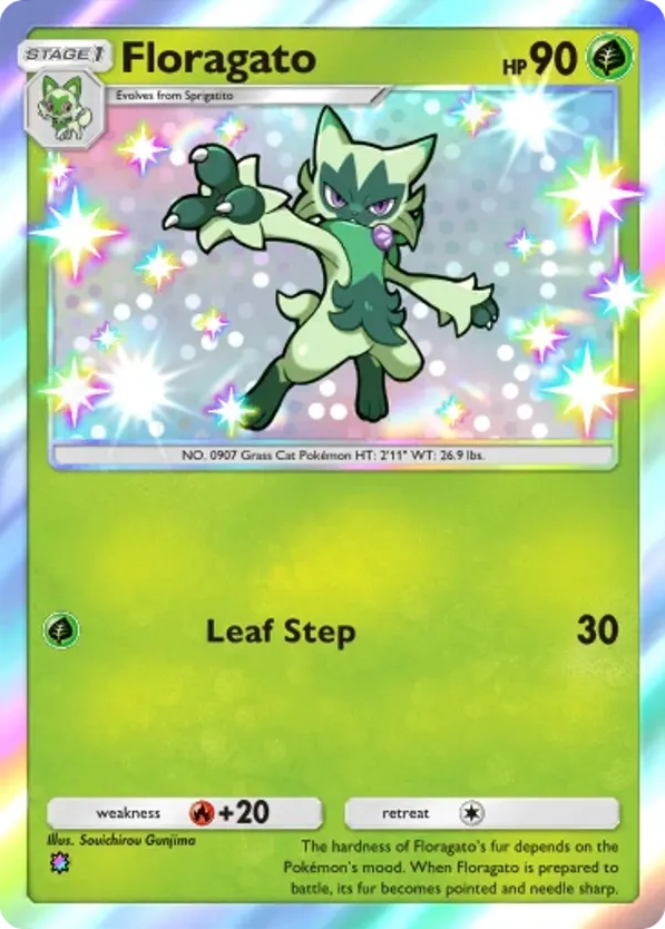 Floragato card front