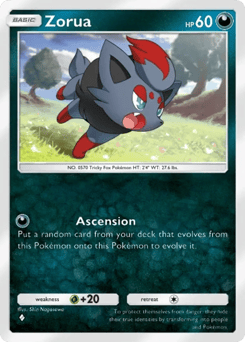 Zorua
