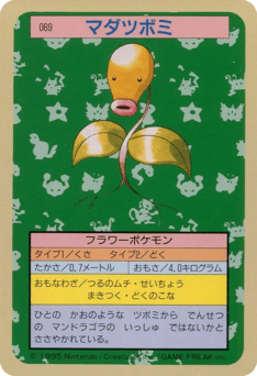 マダツボミ