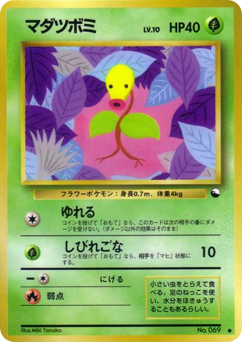 マダツボミ card front