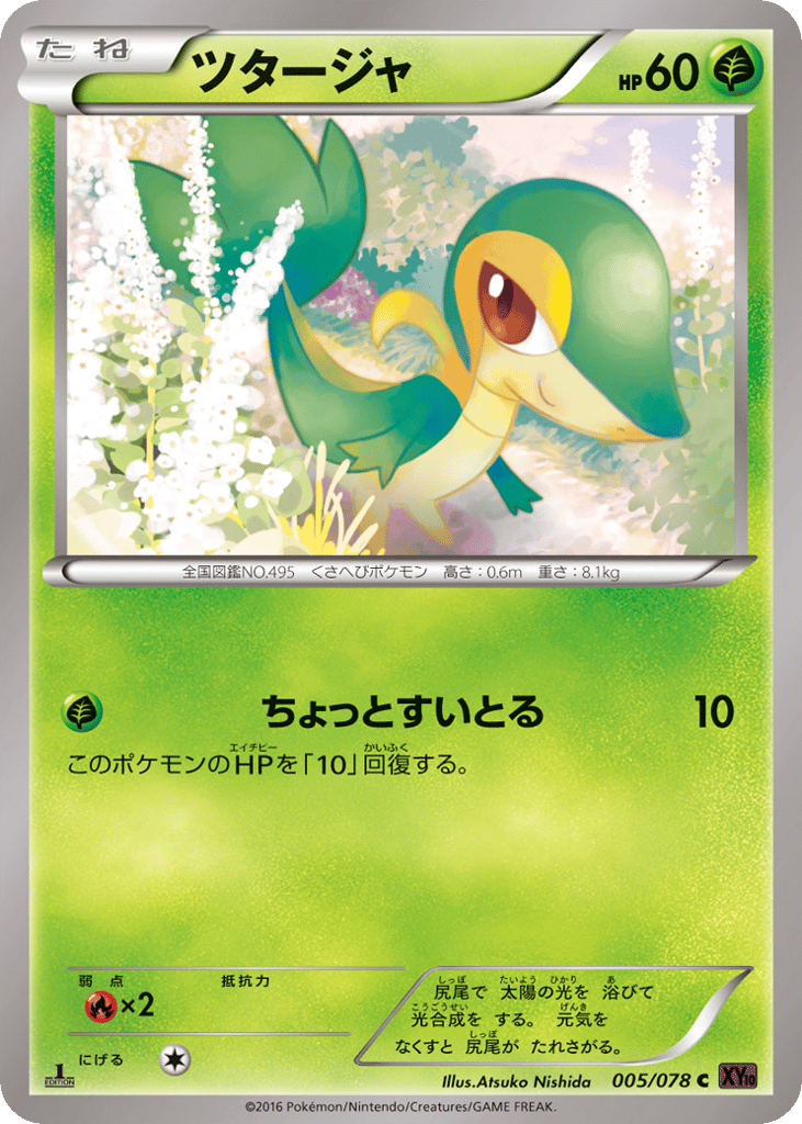 ツタージャ card front