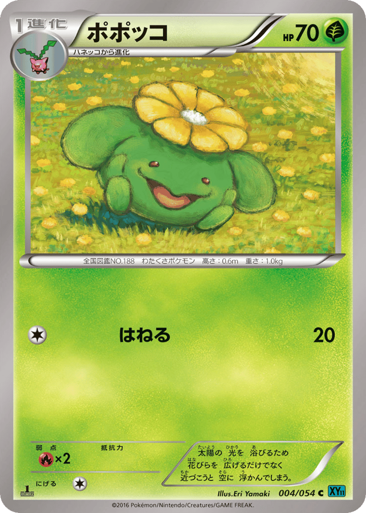 ポポッコ card front